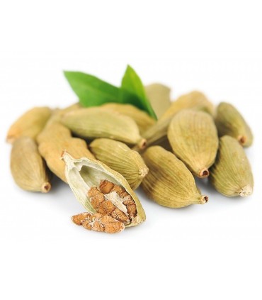 Grain Cardamom - Pot 100 gr - East Spice Selection