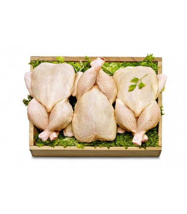 1 x Pollo Halal Entero Fresco - Peso aprox 1.6/1.7 kg