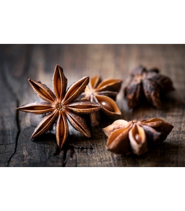 Star Anise / Badiana - Oriental spices - Ruca - 50