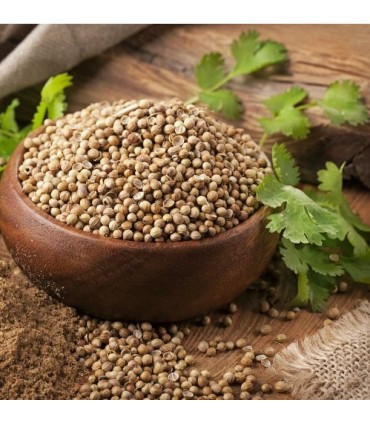 Coriandolo in Grano - Selezione Spezie Orientali - Ruca