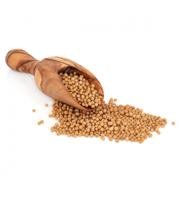 Moutarde aux grains jaunes - Sélection d'épices de l'Est - Ruca