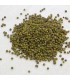 Pimenta Verde - Seleção de Especiarias do Leste - Ruca