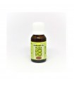 RUDA AROMATIC SCENTED OIL - ÖLBRENNER - AARTI - RUDE ODOR - 15ML