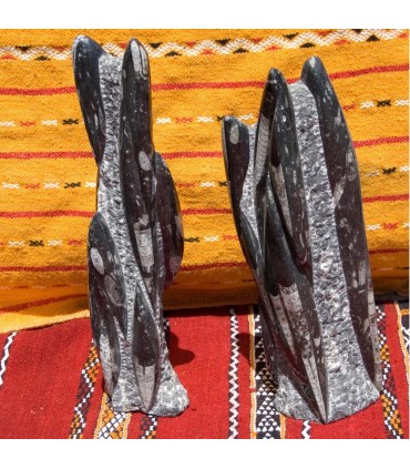 Torre Fósil Ortoseras - Alto 25 cm - NOVEDAD