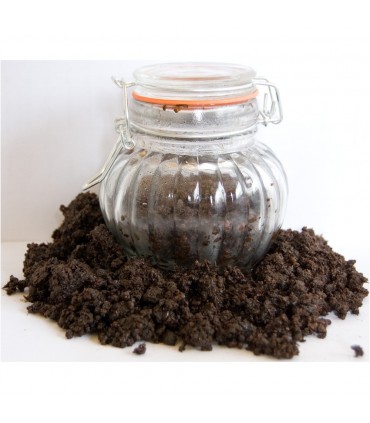 Churai 50gr mix afrodisiaco segreta Senegal - nuovo limitato