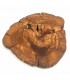 Fatia de madeira de oliveira - Artesanato granadino - Lixada e curada - 25 x 2 cm