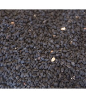 Ajenuz - Semilla Negra Medicinal - Nigella Sativa - Jabba Sawda