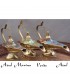 Lampe à pétrole Aladdin Genie bronze - 3 tailles - 3 couleurs - nouveauté