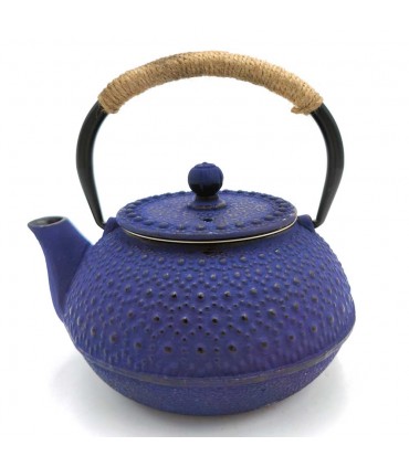 Japanese Style Cast Iron Teapot Various Colors 600 ML