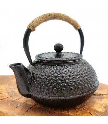 Japanese Style Cast Iron Teapot Various Colors 600 ML