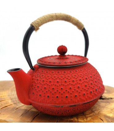 Japanese Style Cast Iron Teapot Various Colors 600 ML
