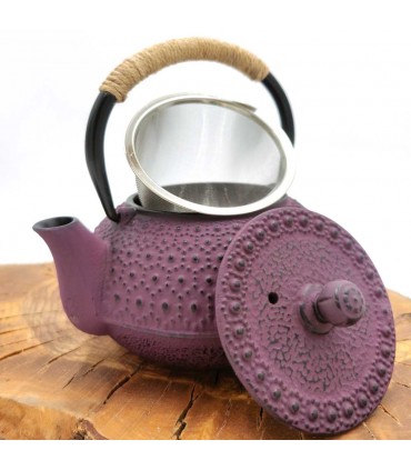 Japanese Style Cast Iron Teapot Various Colors 600 ML