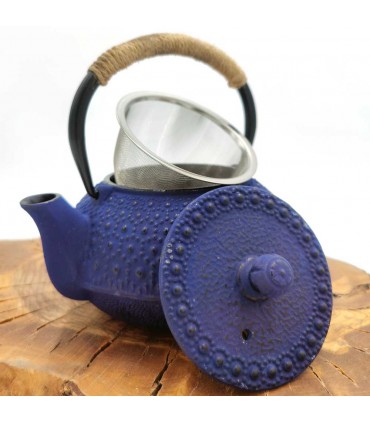 Bule de ferro fundido estilo japonês várias cores 600 ml