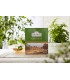 Thé vert Ahmad Tea London 100 sachets Infusion de grande qualité