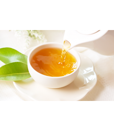 Thé vert Ahmad Tea London 100 sachets Infusion de grande qualité