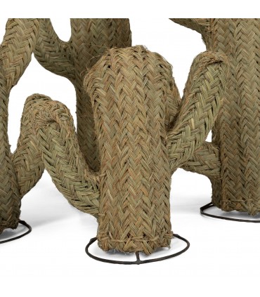 Cactus Decorativo de Fibra Vegetal 100% Natural y Ecológica Biodegradable Modelo Iabisun