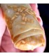 Pack of Mini Arab Cakes Nuts and Honey 15 units Assorted Vegetarian
