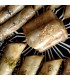 Pack of Mini Arab Cakes Nuts and Honey 15 units Assorted Vegetarian