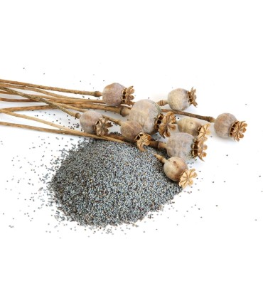 Graine de pavot - 1Kg