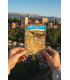 POSTCARD - Granada and Sierra Nevada Alhambra Landscape