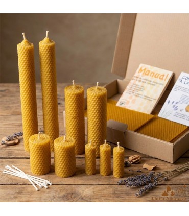 Fazemos Velas - Artesanato - Conhecendo as Abelhas Públicas