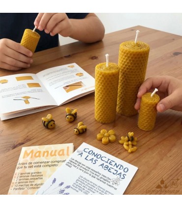 Fazemos Velas - Artesanato - Conhecendo as Abelhas Públicas