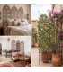 Wrought Iron Screen 3 Leaves - 3 Sizes - 2 Models - Arabic Design Online