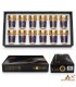 Set of 12 Mosaic Tea Glasses with Gold Details | 100 ml