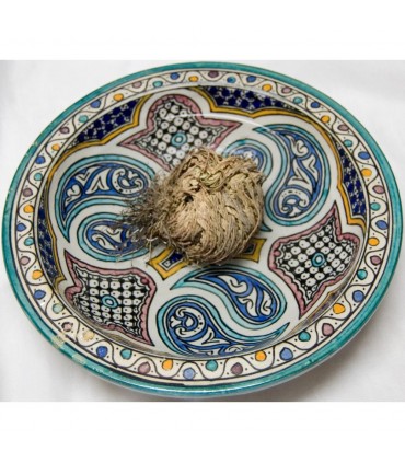 Rosa di Gerico - originariamente est - Anastatica hierochuntica