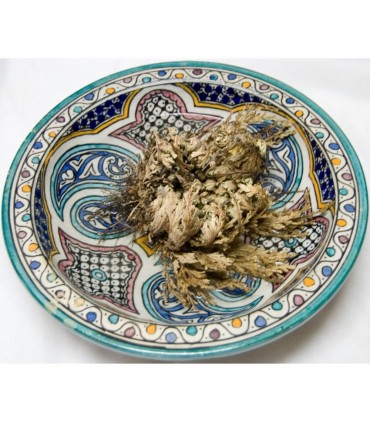 Rosa di Gerico - originariamente est - Anastatica hierochuntica