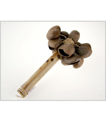 Graines de bois - peint main - maracas