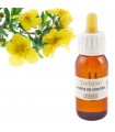 Antinvecchiamento di enotera olio - 60 ml --Granadiet
