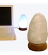Sel USB de l'Himalaya naturels mini lampe blanc - différentes couleurs