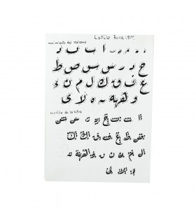 Pack 4 Kalam Escritura Arabe - Bambú - 3 Tamaños -3 Graduaciones