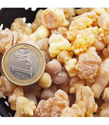 Korn Stämme Weihrauch - Weihrauch - aus 25 Gr.