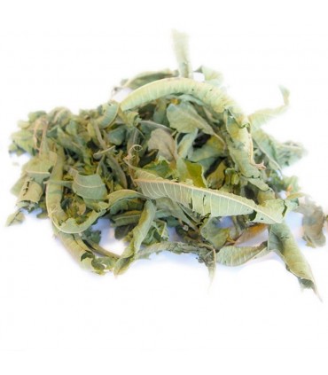 Toda a seco Lemon Verbena - Para o chá ou infusão moura