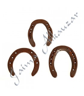 Herradura de la Suerte y La Salud Grande - Ideal Regalo