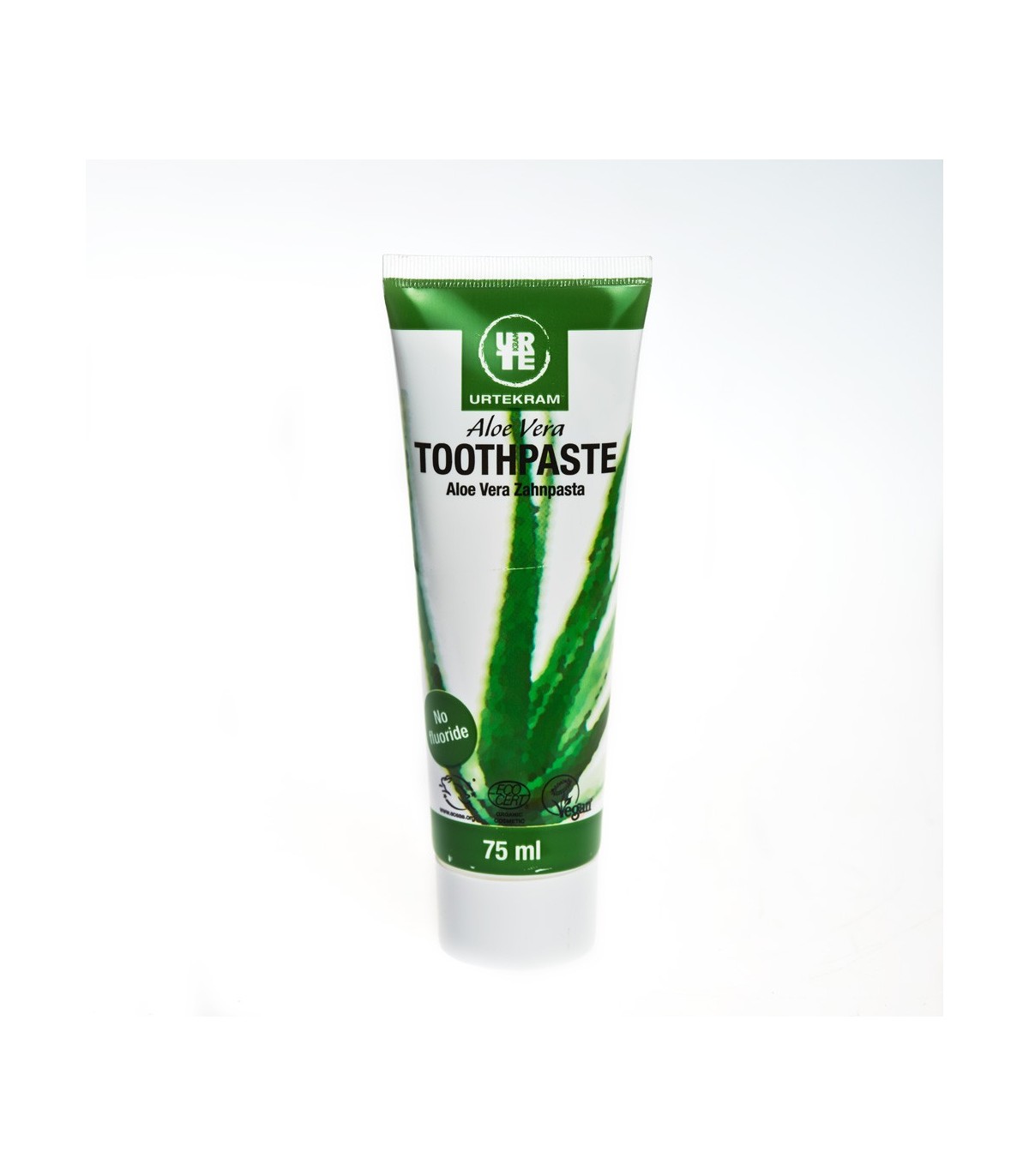 edeka aloe vera pflanze Aloe vera | Sukkulente