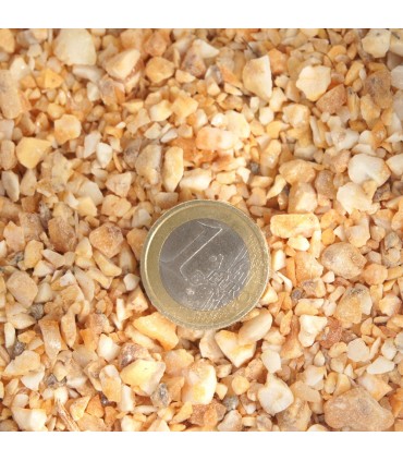 Weihrauch Benzoe Bohnen 25 gr