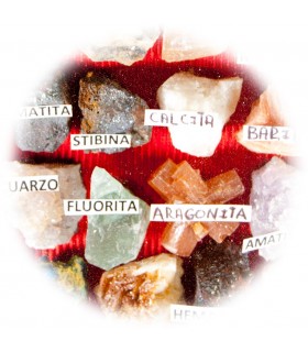 Collection minerals - display cabinet glass - 2 sizes