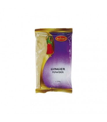 Épice indienne de poudre de gingembre - krystel - - 100 g