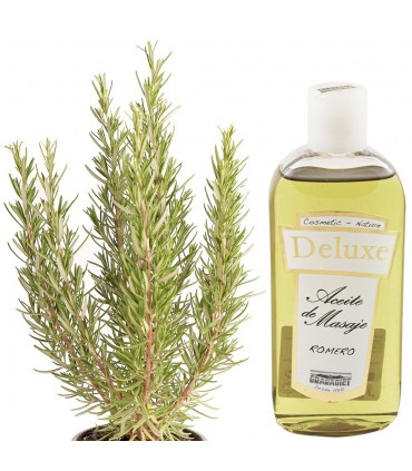 Romero - 250 ml-Öl-massage