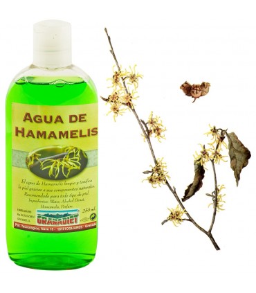 Water Hamamelis - 250 ml