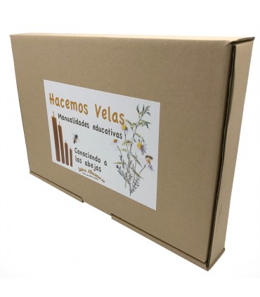 Fazemos Velas - Artesanato - Conhecendo as Abelhas Públicas