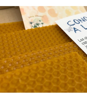 Nous fabriquons des bougies - Artisanat - Connaître les abeilles en public