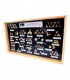 Grande collection de fossiles de dents de requin - Vitrine en verre