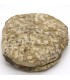 Trilobita - Fóssil Natural - Áspero - Pedra Original - 24 cm