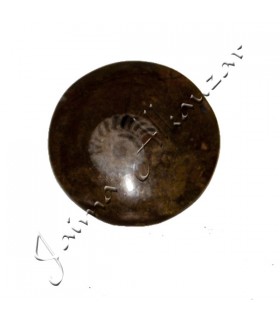 Polierter fossiler Ammonit - 5 cm - Sahara-Wüste - NEU
