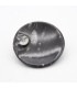 Cendrier fossile - Orthosera et ammonites
