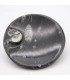 Cendrier fossile - Orthosera et ammonites